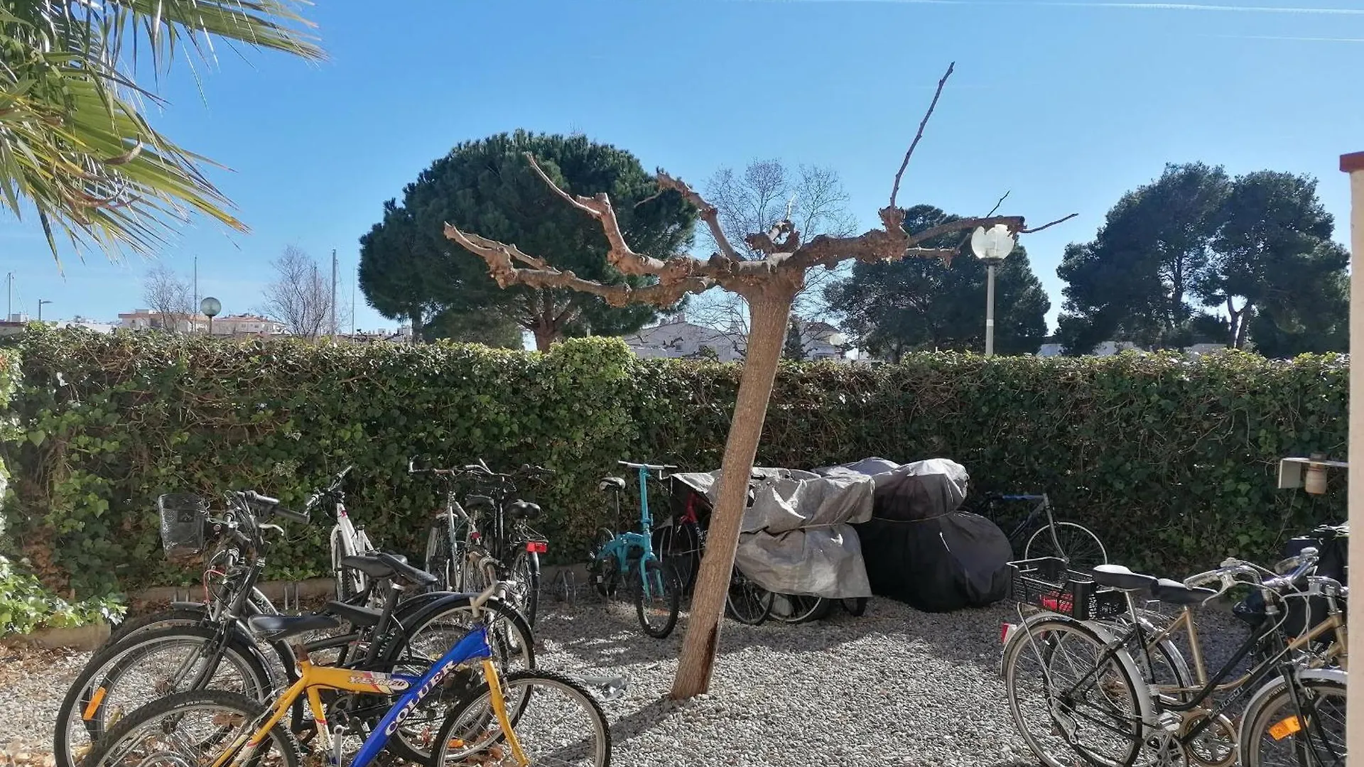 2201 - Port Canigo Bloc-Ii 401, Cerca De Un Parque Natural Para Practicar Senderismo, Btt O Windsurf. Gran Zona Ajardinada. - Es-258-130 로지즈